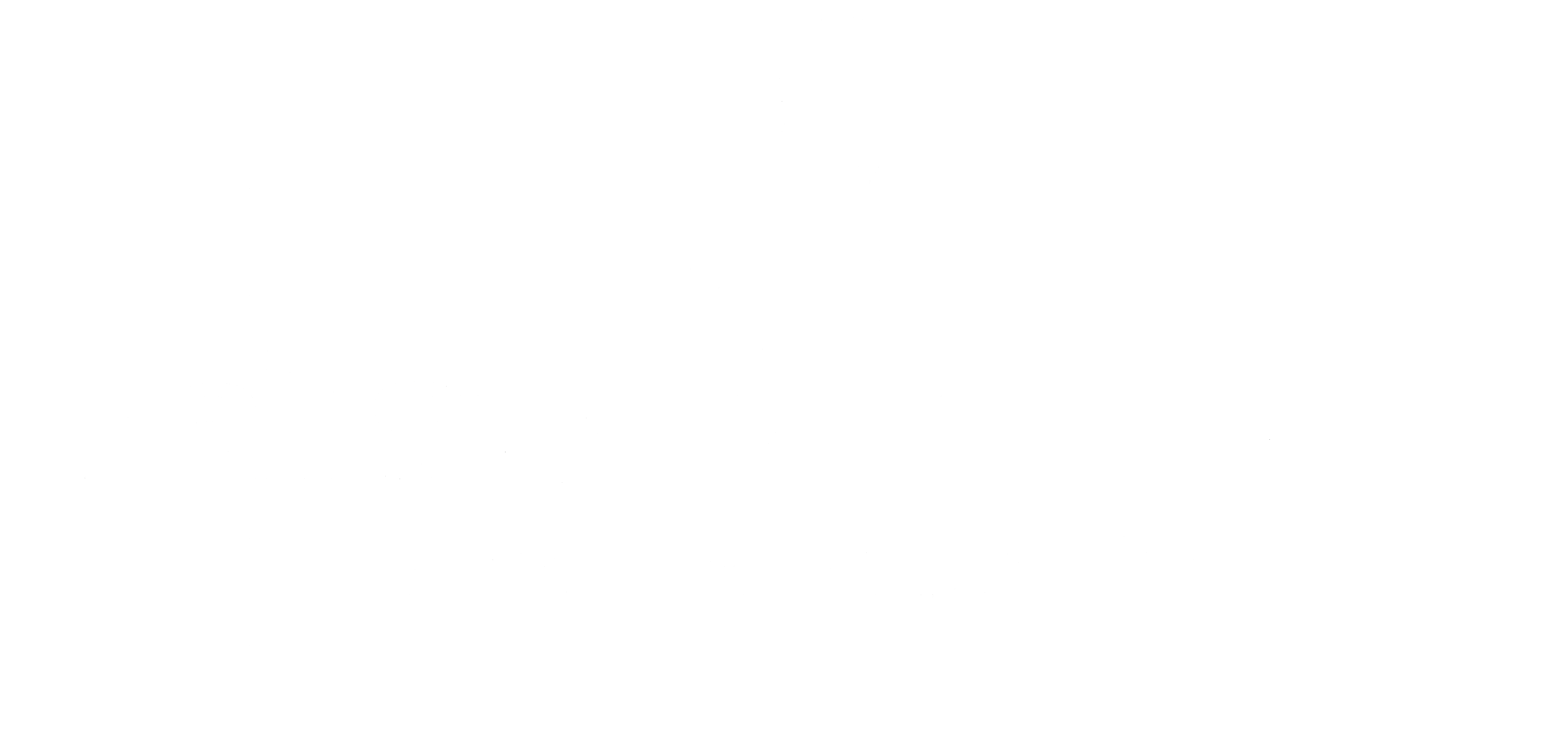 Hairstylez by Araz Logo